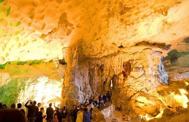 Hang Đầu Gỗ: Động của các kỳ quan