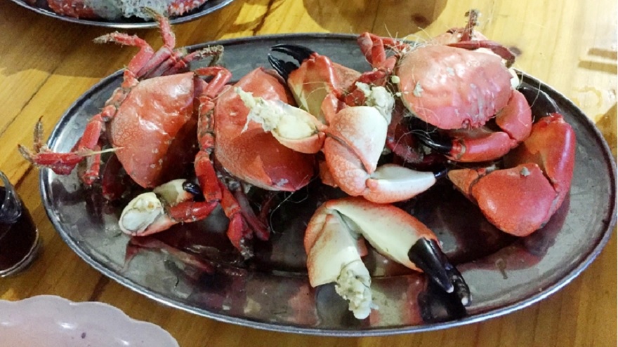 Cù kỳ hấp