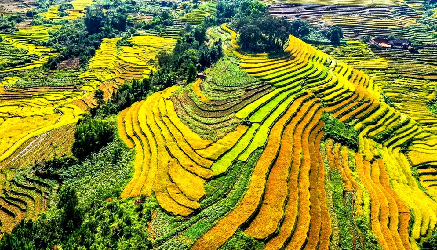 Ruộc bậc thang Bình Liêu