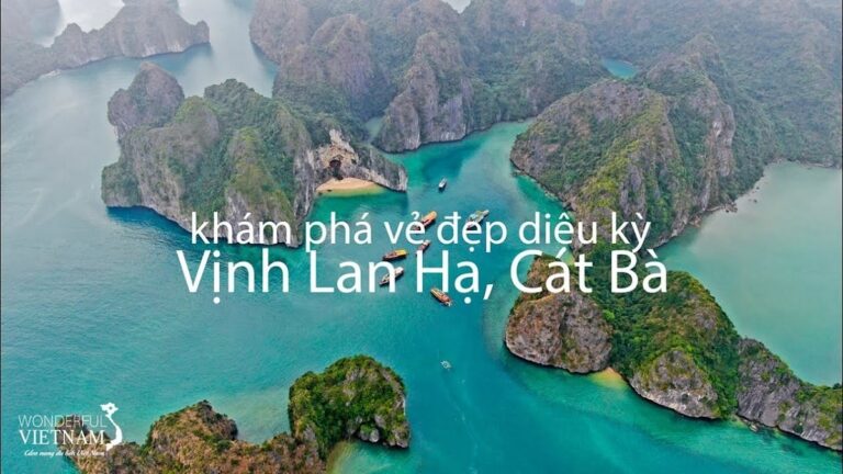 Du lịch Vịnh Lan Hạ: Cẩm nang từ A đến Z cho chuyến đi hoàn hảo